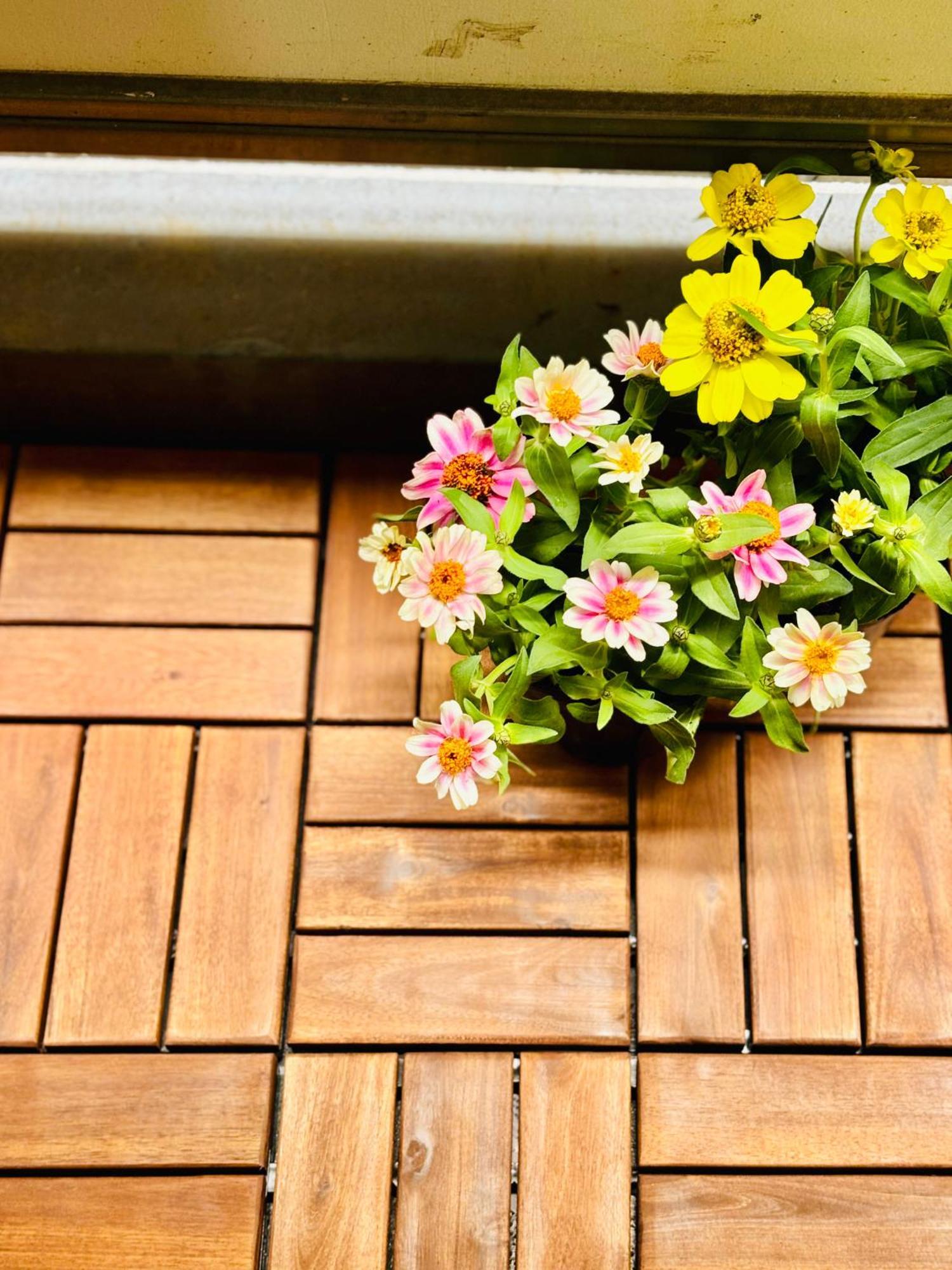 Glou Shinjuku Family Apartment Tokyo Ngoại thất bức ảnh
